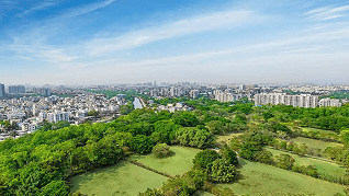 Amenities - Open Spaces - SP TreeClouds