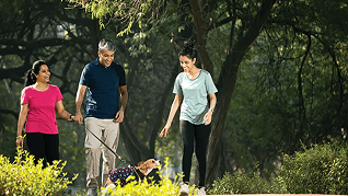 Amenities - Pet Park - SP TreeClouds
